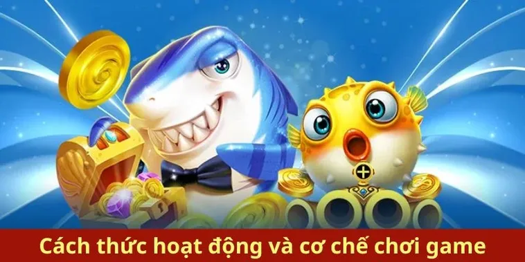 Bí Kíp Cách Chơi Bắn Cá Royal Fishing Tại 666VN Săn Rồng Thần Nhận Thưởng Lớn 1 Bí Kíp Cách Chơi Bắn Cá Royal Fishing Tại 666VN Săn Rồng Thần Nhận Thưởng Lớn