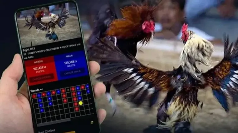 Đá Gà 666VN Trải Nghiệm Kịch Tính Nhất Cho Anh Em Cược Thủ