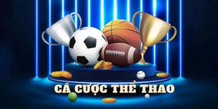 Sảnh Thể Thao 666VN Đẳng Cấp Quốc Tế Nơi Quy Tụ Những Trận Cầu Rực Lửa Nhất